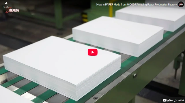 How is PAPER Made from WOOD? Amazing Paper Production Factory! How is PAPER Made from WOOD? Amazing Paper Production Factory!