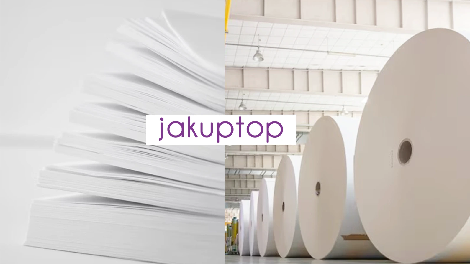 Paper industry Paper industry