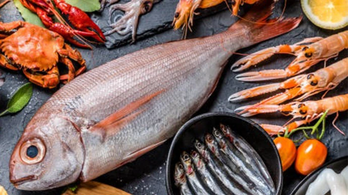 وصفات مختلفة وشهية للأسماك والمأكولات البحرية وصفات مختلفة وشهية للأسماك والمأكولات البحرية